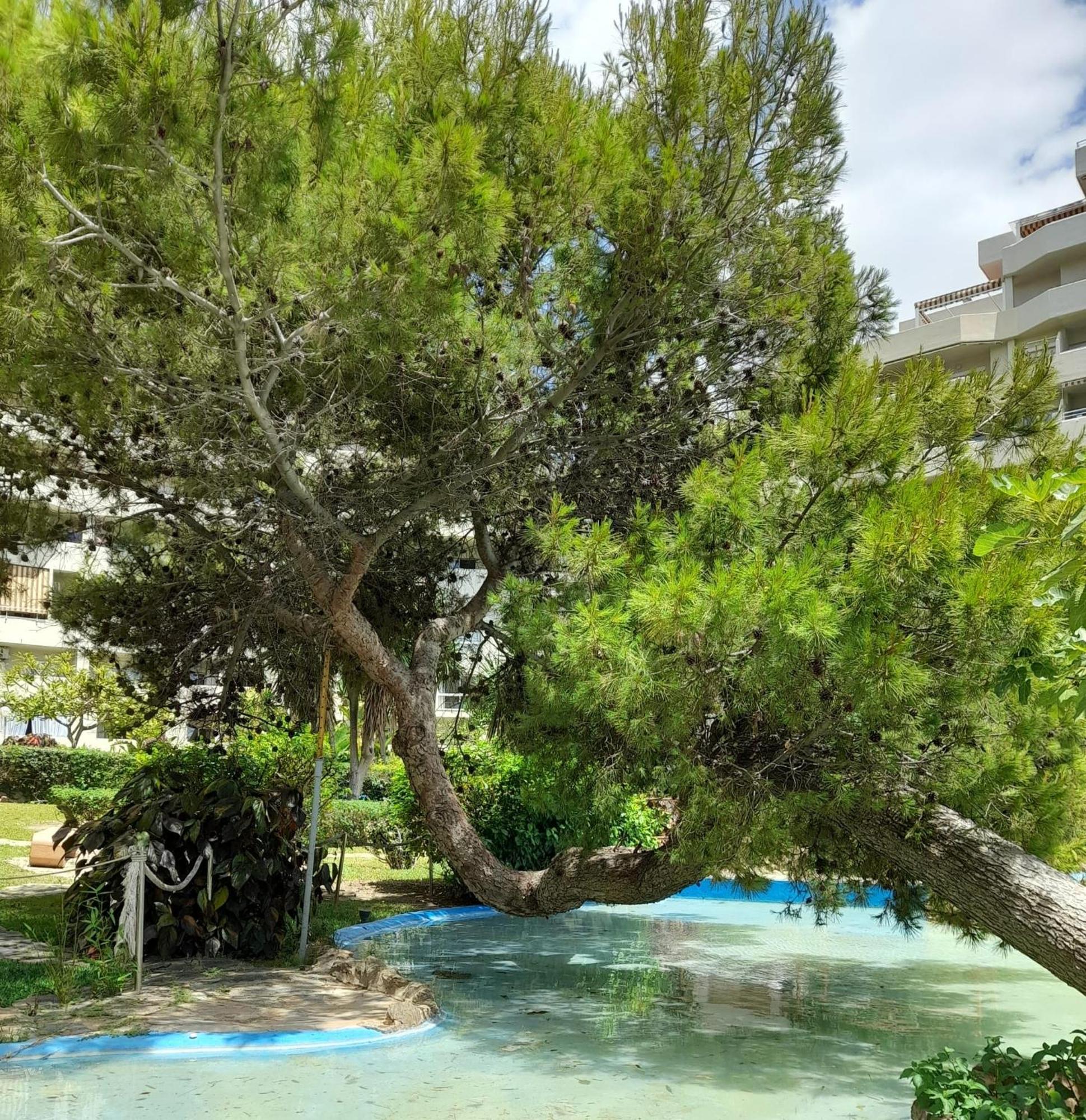 Benalbeach R&R Suite 베날마데나코스타 외부 사진